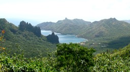 DSC01161