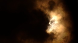 DSC01293