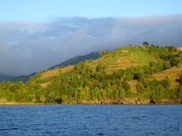 DSC03507