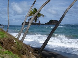 DSC03586