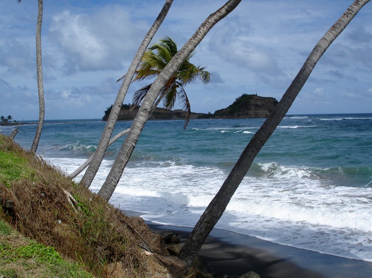 DSC03586