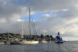 DSC_0205