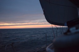 DSC_0316