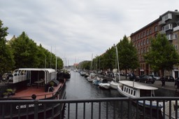 DSC_0481