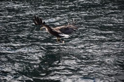 DSC_0713