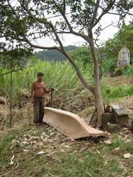 IMG_0862