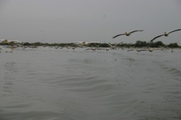 IMG_7130