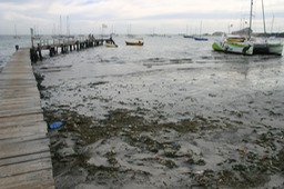 IMG_7271