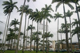IMG_7516