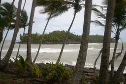 IMG_7557