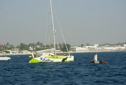 IMGP2986