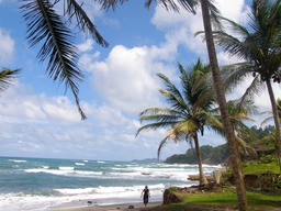 MATINIQUE ST MARIE_1