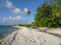 P1020958