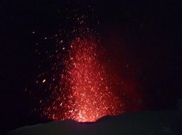 P1040111
