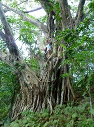 P1040168