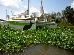 P1050835