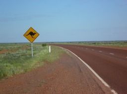 P1050944