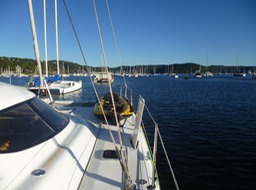 P1060554