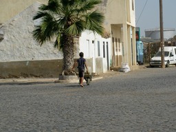 SANY0442