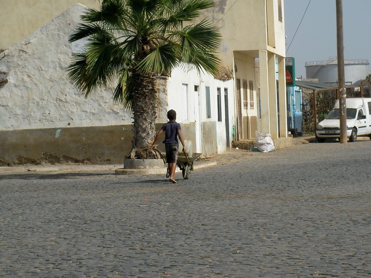 SANY0442