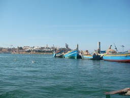 SANY2724