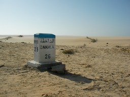 SANY2935